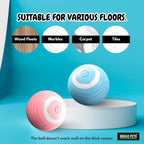 Pets Smart Gravity 360 Self Roller Ball Toy